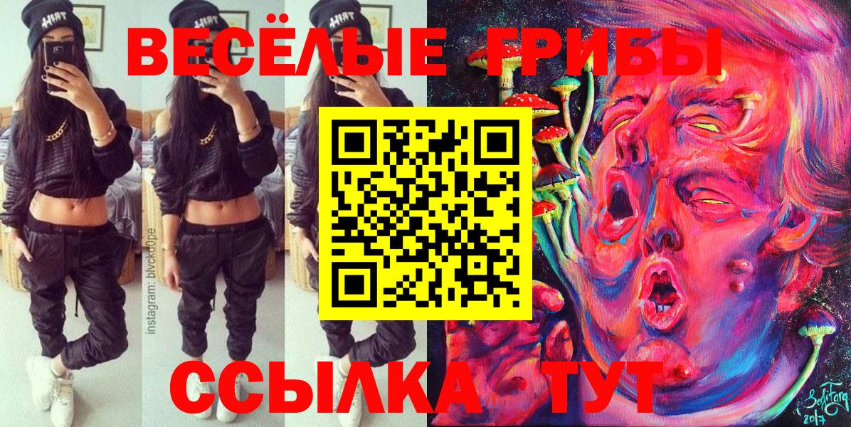 Галлюциногенные грибы MAGIC MUSHROOMS  Галлюциногенные грибы Psilocybe  Нижнеудинск  Вход с VPN 