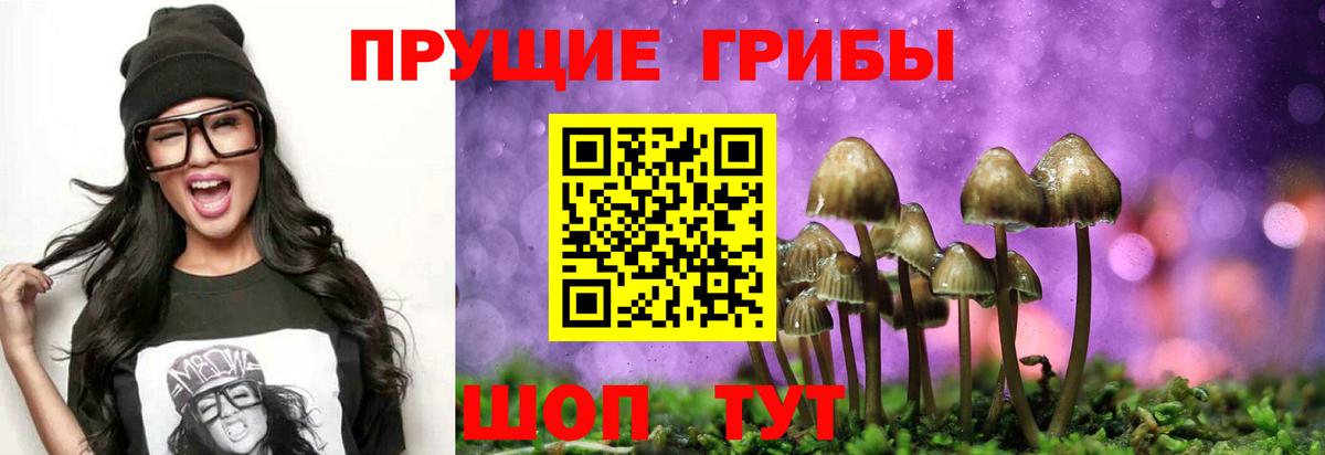 Галлюциногенные грибы мицелий Нижнеудинск